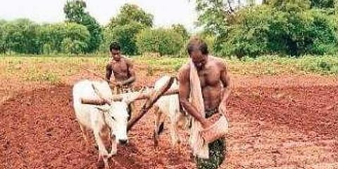 For representational purposes (File Photo |EPS))