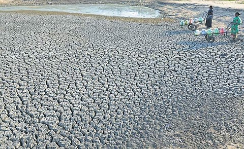Deficit rainfall in Karnataka's coastal districts hits paddy planting plans