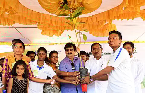 Around 1,000 plants were placed around Paruthipattu lake. (Photo | Debadatta Mallick, EPS)