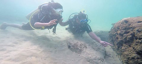 Tourists engaged in scuba diving | EXPRESS