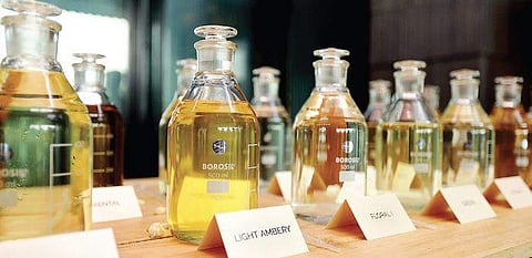 Different perfume fragrances (Photo |EPS)