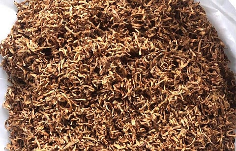 Assam tea variety breaks all records, sold at Rs 50,000 a kg