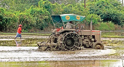 For representational purposes ( Photo | EPS)