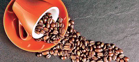 Why every road in Hyderabad leads to a coffee shop?