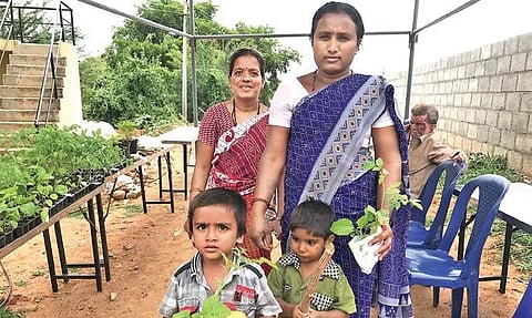 People receive saplings from Sarajapura Curries