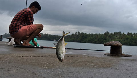 A scene from Muthalappozhi fishing harbour in Thiruvanathapuram. (File photo | B P Deepu, EPS)