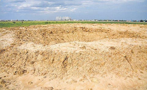 Around 250 varieties of saplings will be planted around Korattur lake at an estimated cost of `6 lakh, to attract migratory birds | Martin Louis