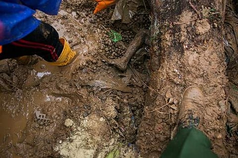 The leg of a landslide victim is seen in the mud after a landslide in Paung township, Mon state on August 10, 2019. (Photo | AFP)
