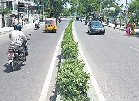 The median along College Road where repair work is to be carried out | Ashwin Prasath