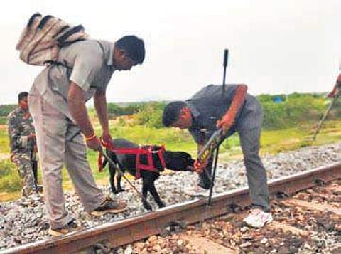 Railway and local police personnel inspecting a railway track at Yogireddypalem in Guntur district | Express