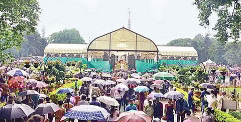 On the last day of the flower show at Lalbagh, many citizens thronged the venue even when though it rained in Bengaluru| Shriram B N