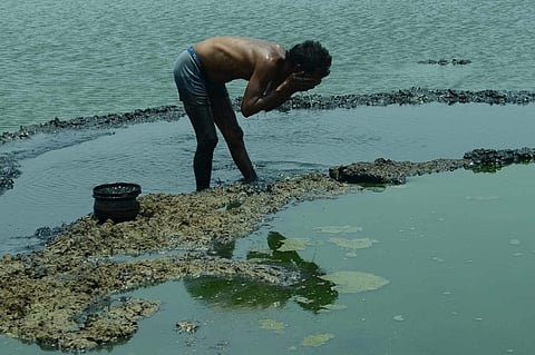 A fisherman washing his face in the sewage-mixed waters of Korattur lake in Chennai. (Photo | P Jawahar, EPS)