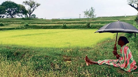 Image for representation.