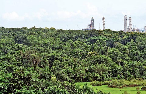 The 170-acre land acquired by the BPCL from FACT to implement its polyol project at Ambalamugal in Kochi | Albin Mathew