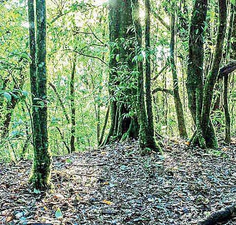 For representational purposes (Photo |EPS)