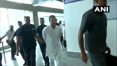 Rahul Gandhi at Srinagar Airport (Photo |ANI, Twitter)