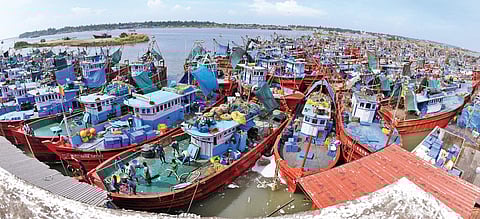 Parked boats dot the harbour in Mangaluru