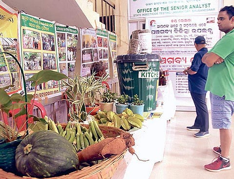 Visitors going round an exhibition on the occasion of World Kitchen Garden Day on State Quality Control Laboratory premises in Bhubaneswar I EXPRESS