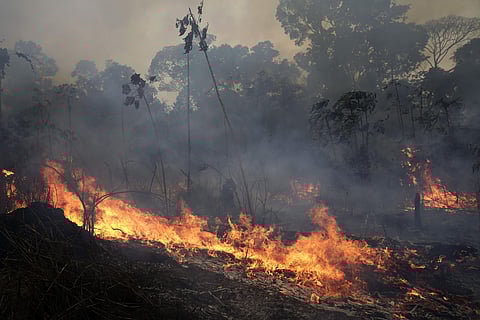 Experts say increased land clearing during the months-long dry season to make way for crops or grazing has aggravated the recurring problem this year.Seen from above, the destruction in Rondonia is dramatic: walls of flames advancing across the expansive
