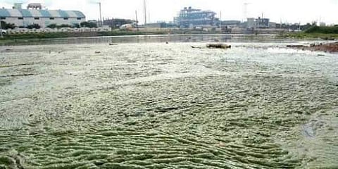 For representational purposes ( File Photo | EPS)