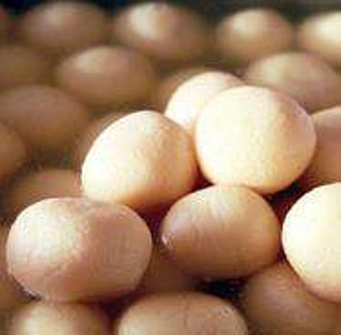 Image used for representational purpose only. (File Photo |EPS)