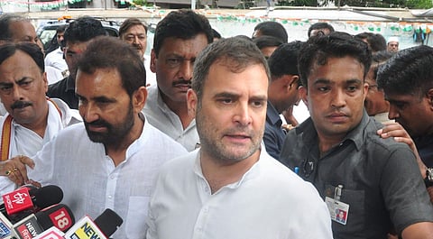 Wayanad MP Rahul Gandhi (Photo | PTI)