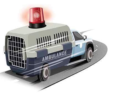 The minimum service charge is Rs 400, including the return trip.