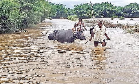 He noted that heavy inflows had raised Krishna River water levels, with the first flood warning in effect and a second alert likely soon.