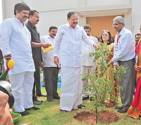 Vice-president M Vekaiah Naidu planting a sapling at SAMEER in Visakhapatnam on Thursday (Photo| EPS, G satyanarayana)