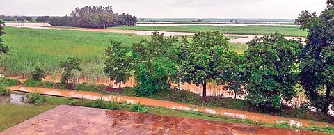 A flooded agricultural land in Kotpad block of Koraput district (Photo |EPS)