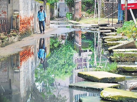 Road in front of OSFC office at Khapuria (Photo |EPS, rashmiranjan mohapatra)