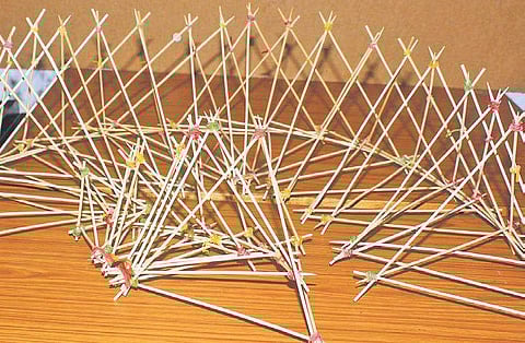 aRTWORK BY architect Takbir Fatima (Photo |EPS, sathya keerthi)