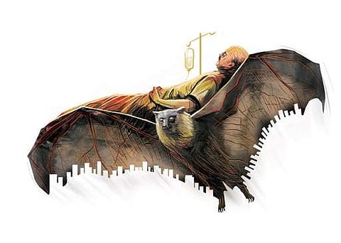 Kerala urged to develop anti-Nipah virus mechanism