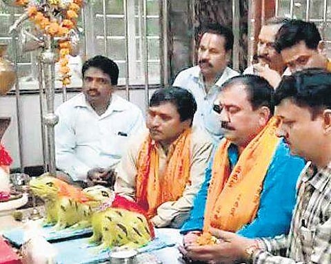 The frog ‘marriage’ earlier this year | Express