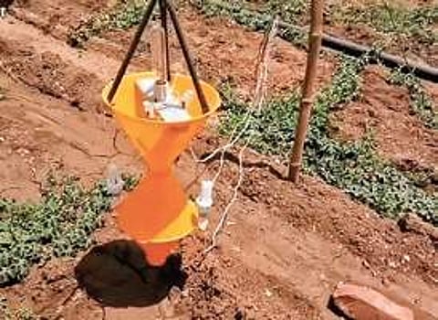 light trap systems in crop fields in Sambalpur (Photo |EPS)