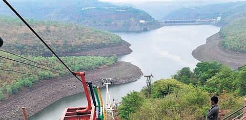 Nallamala forests (File Photo |EPS)