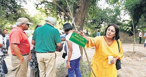 Placards with the name of the plants and the Gold Club members who planted them have been placed on the trees. | ( Photo | Arun Kumar )