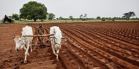 Image used for representational purpose only. (File photo| Vinay Madapu, EPS)