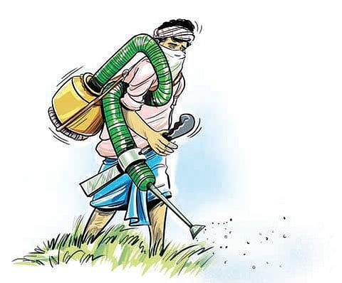 ANGRAU authorities have suggested chilies, cotton, jowar, fodder jowar, maize, millets and pulses as alternative.