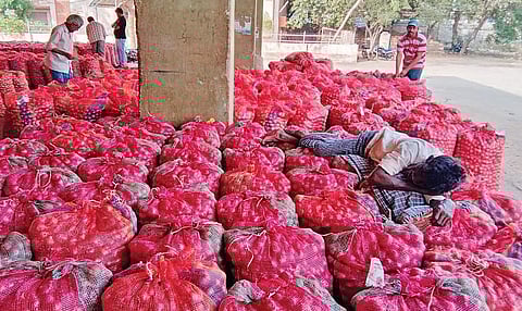 A recent technical glitch on the electronic National Agriculture Market (e-NAM) platform disrupted trading across Agricultural Market Committees in the State for over a week.