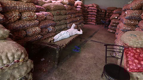 Image of Onions used for representational purpose only. (Photo| Arun Kumar, EPS)