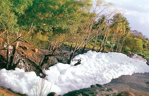 Once considered the lifeline of the city, the Vrishabhavathi river has now turned into a frothy mess owing to the release of a large amount of pollutants in it | pandarinath b