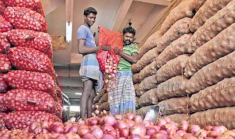 Trade data showed that retail prices have shot up to Rs 70-80 per kg in the Capital. (Photo | M K Ashok Kumar)