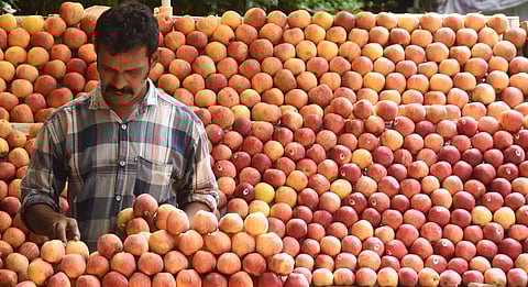 Image used for representational purpose. (Photo | EPS)