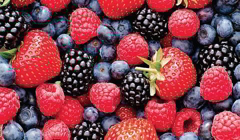 September 29 is celebrated as World Heart Day.