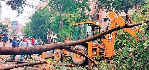 GHMC workers clearing fallen trees at Madhapur (Photo |EPS)