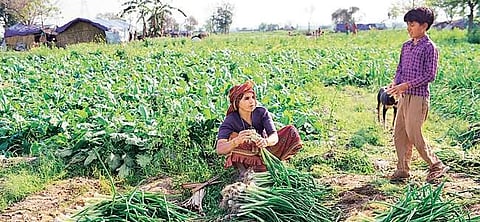 Image used for representational purpose only. (File photo | EPS))