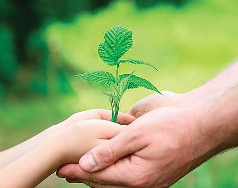 For representational purposes