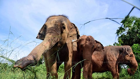 Representational image.