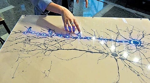 Exhibition brings together science, art in one place